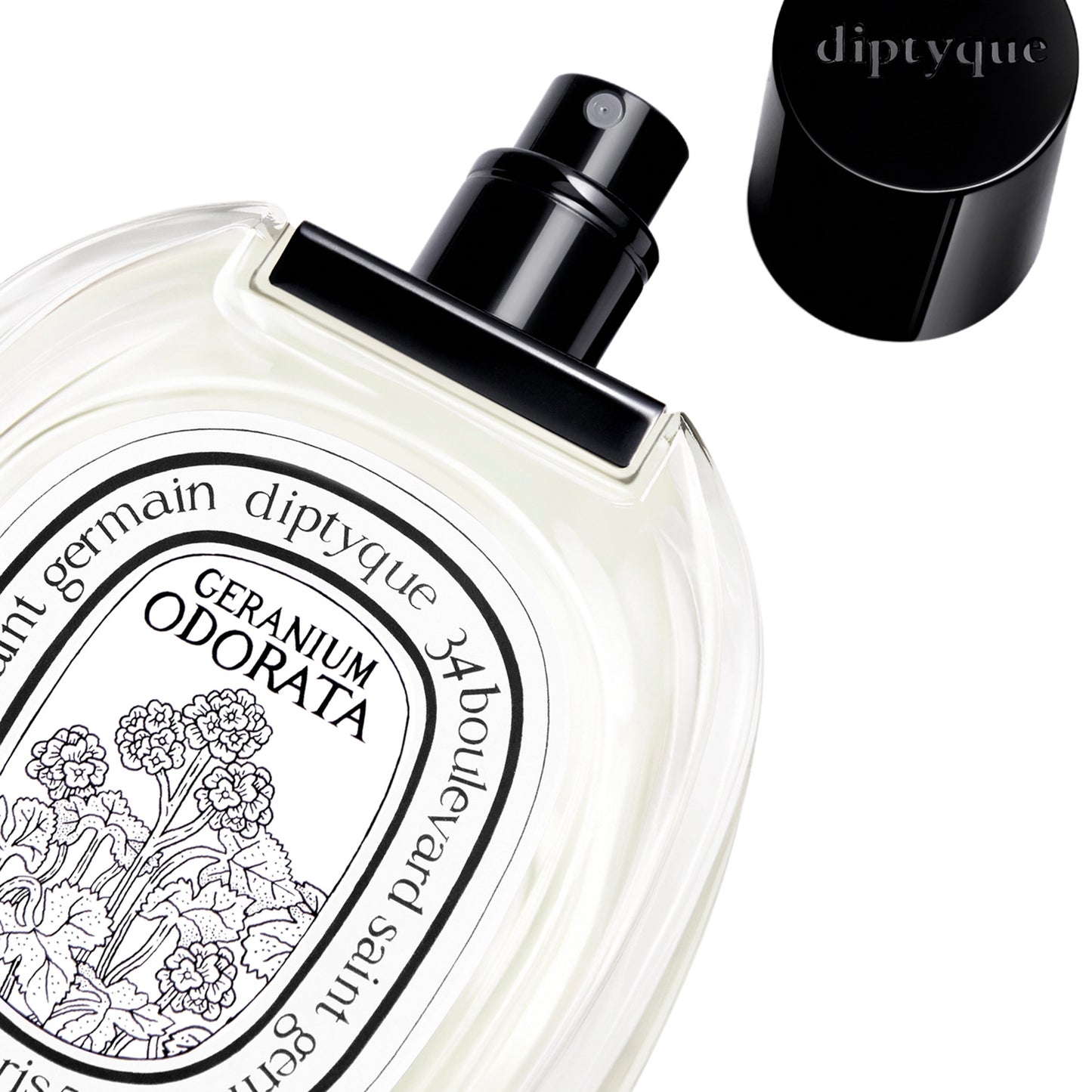 Diptyque Geranium Odorata EDT 天竺葵之水 ✨100ml