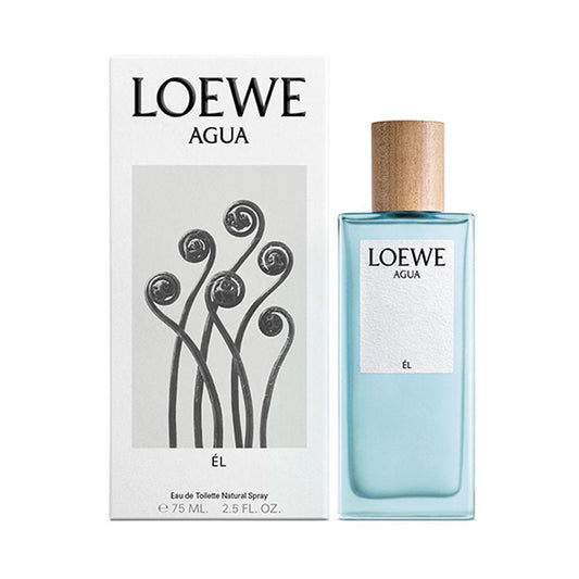 Loewe Aqua ÉL ✨100ml