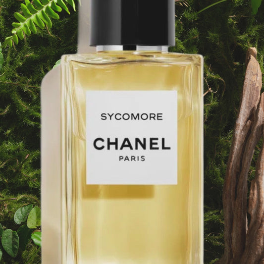 Chanel Sycomore 梧桐影木 ✨75ml