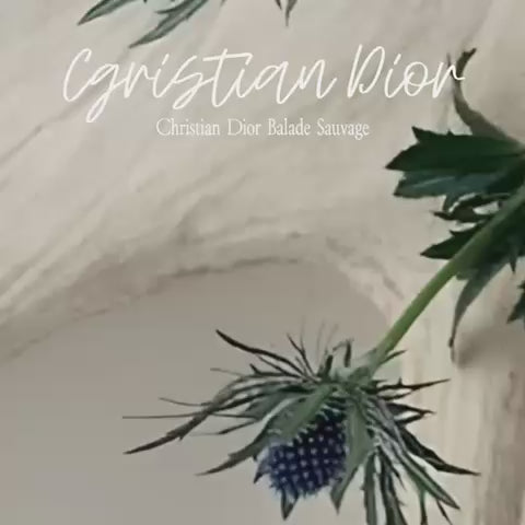 Christian Dior Balade Sauvage✨125ml